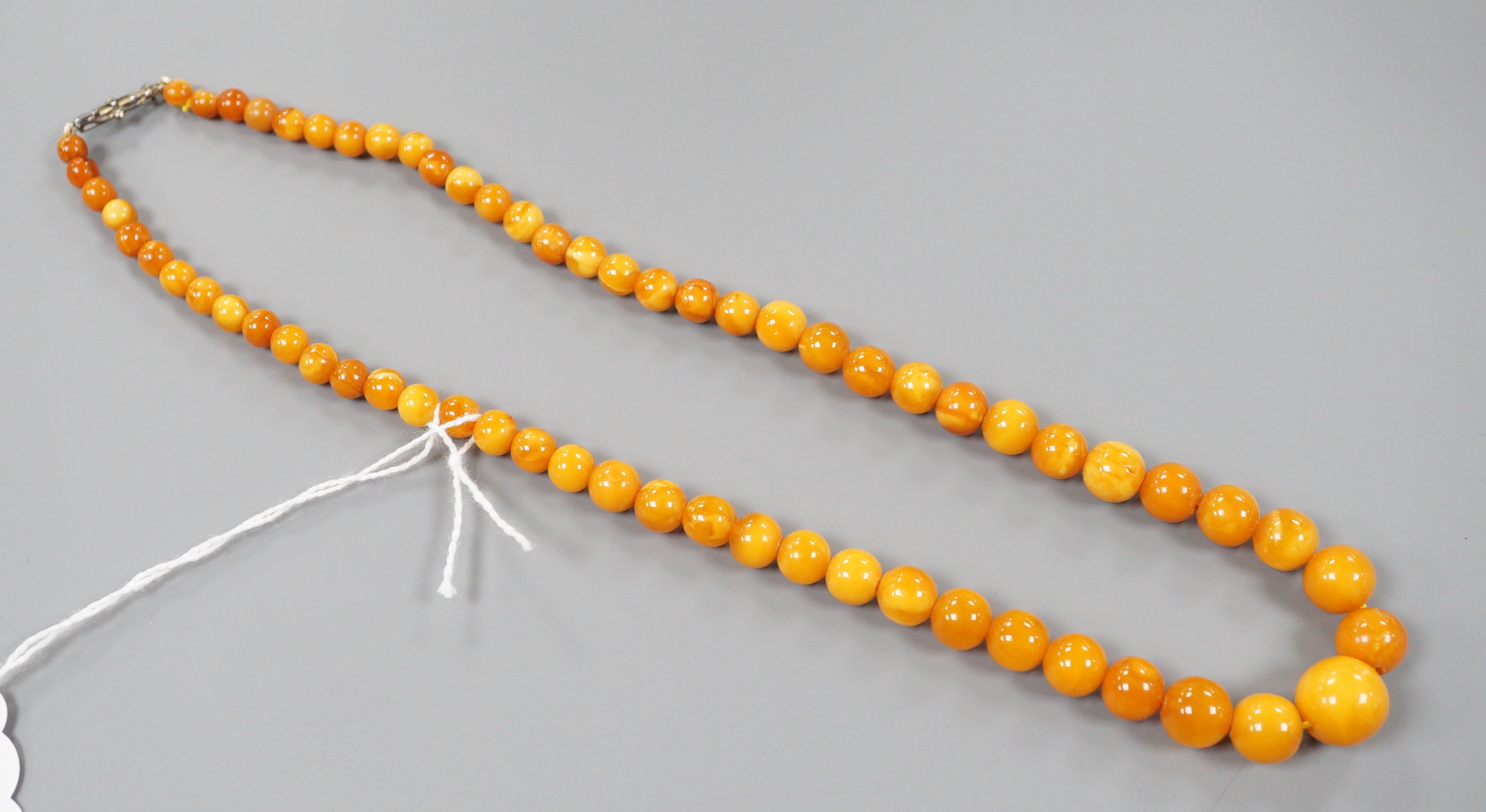 A singe strand graduated circular amber bead necklace, 42cm, gross weight 16 grams.